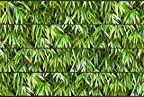 Zaunsichtschutz, Windschutz (31 versch. Motive) für Doppelstabmattenzaun *Bambusblätter* beidseitig, 19cm, 26m Rolle