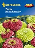 Zinnien 'Red Lime & Green Lime'