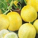 Zitronengurke 10 Samen (cucumis lemon) frisch-fruchtigen Geschmack