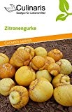Zitronengurke | Bio-Gurkensamen von Culinaris Saatgut