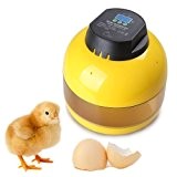 ZJchao Mini Brutei Inkubator für 10 Eier