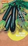 Zucchini Black Beauty Bio demeter