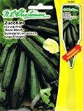 Zucchini Black Beauty (Portion inkl. Stecketikett)