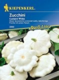 Zucchini: Custard White/Ufo weiß, Cucurbita pepo - 1 Portion