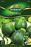 Zucchini Eight Ball von Quedlinburger Saatgut