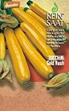Zucchini Gold Rush bio demeter
