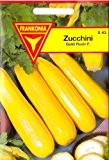 Zucchini, Gold Rush F1, ca. 5 Samen