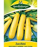 Zucchini 'Goldrush' F1, 1 Tüte Samen