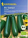 Zucchini grün BIO-Saatgut