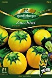 Zucchini One Ball von Quedlinburger Saatgut