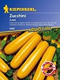 Zucchini, 'Soleil, gelb'