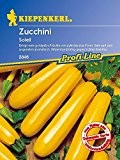 Zucchini Soleil