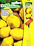 Zucchini Sunburst F1 (Portion inkl. Stecketikett)