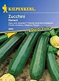 Zucchinisamen - Zucchini Diamant von Kiepenkerl