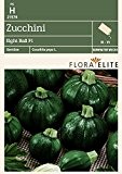 Zucchinisamen - Zucchini Eight Ball F1 von Flora Elite