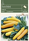 Zucchinisamen - Zucchini Orelia F1 von Flora Elite