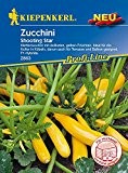 Zucchinisamen - Zucchini Shooting Star von Kiepenkerl