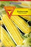 Zuckermais, Mais, Golden Bantham, ca. 25 Samen