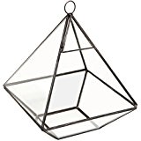 Zum Aufhängen Glas klar Prism Air Terrarium/Tabletop Sukkulente Pflanzgefäß/Tee Licht Kerzenhalter